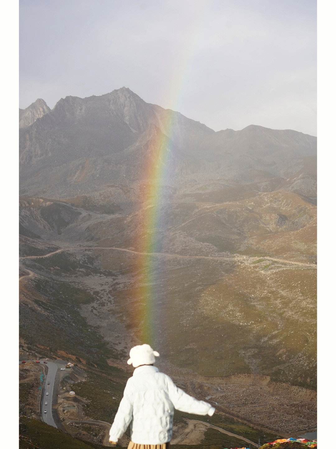 世俱杯赛程-彩虹队丢失领先优势，最终被半山大树逆转获胜