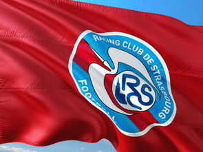 世俱杯奖金-帕尔梅拉斯赛前体能检测通过，争冠筹备顺利